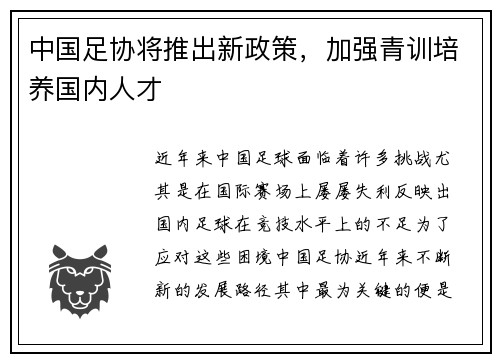 中国足协将推出新政策，加强青训培养国内人才