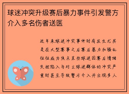 球迷冲突升级赛后暴力事件引发警方介入多名伤者送医